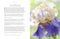 Beautiful Blooms | Flower Photography book by Georgianna Lane. Australian Art Prints, Gifts, Fashion and Homewares. Green Door Decor. www.greendoordecor.com.au