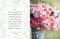 Beautiful Blooms | Flower Photography book by Georgianna Lane. Australian Art Prints, Gifts, Fashion and Homewares. Green Door Decor. www.greendoordecor.com.au