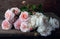 Beautiful Blooms | Flower Photography book by Georgianna Lane. Australian Art Prints, Gifts, Fashion and Homewares. Green Door Decor. www.greendoordecor.com.au