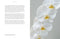 Beautiful Blooms | Flower Photography book by Georgianna Lane. Australian Art Prints, Gifts, Fashion and Homewares. Green Door Decor. www.greendoordecor.com.au