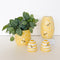 Salt & Pepper Shakers | Bee Hive Yellow by Urban Products. Australian Art Prints and Homewares. Green Door Decor. www.greendoordecor.com.au