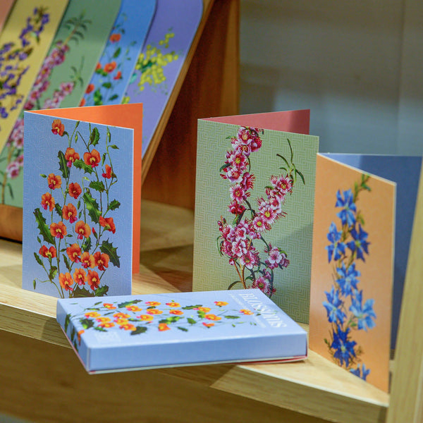 Blossoms Boxed Florist Cards by Bell Art.. Australian Art Prints and Homewares. Green Door Decor. www.greendoordecor.com.au