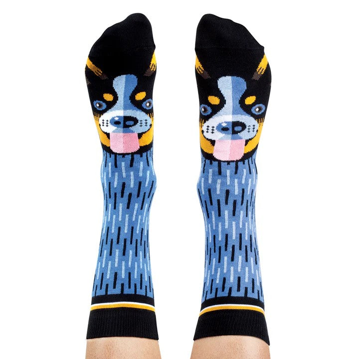 'Blue Heeler' Socks by Wilson Payne. Australian Art Prints and Homewares. Green Door Decor. www.greendoordecor.com.au