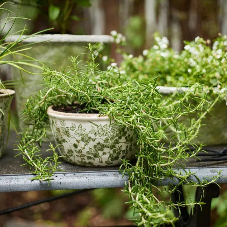 Small Botanical Ceramic Pot | Green by French Country Collections. Australian Art Prints and Homewares. Green Door Decor. www.greendoordecor.com.au