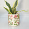 Botanicals Planter | Green (14cm) by Urban Products. Australian Art Prints, Fashion and Homewares. Green Door Decor. www.greendoordecor.com.au