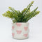Bow Planter | Pink by Urban Products. Australian Art Prints, Fashion and Homewares. Green Door Decor. www.greendoordecor.com.au