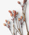 Faux Foliage | Burnished Berries Branch 70cm by French Country Collections. Australian Art Prints, Gifts, Fashion and Homewares. Green Door Decor. www.greendoordecor.com.au