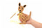 Bush Buddies Lacing Kangaroo by Eleganter Australia. Australian Art Prints, Gifts, Fashion and Homewares. Green Door Decor. www.greendoordecor.com.au