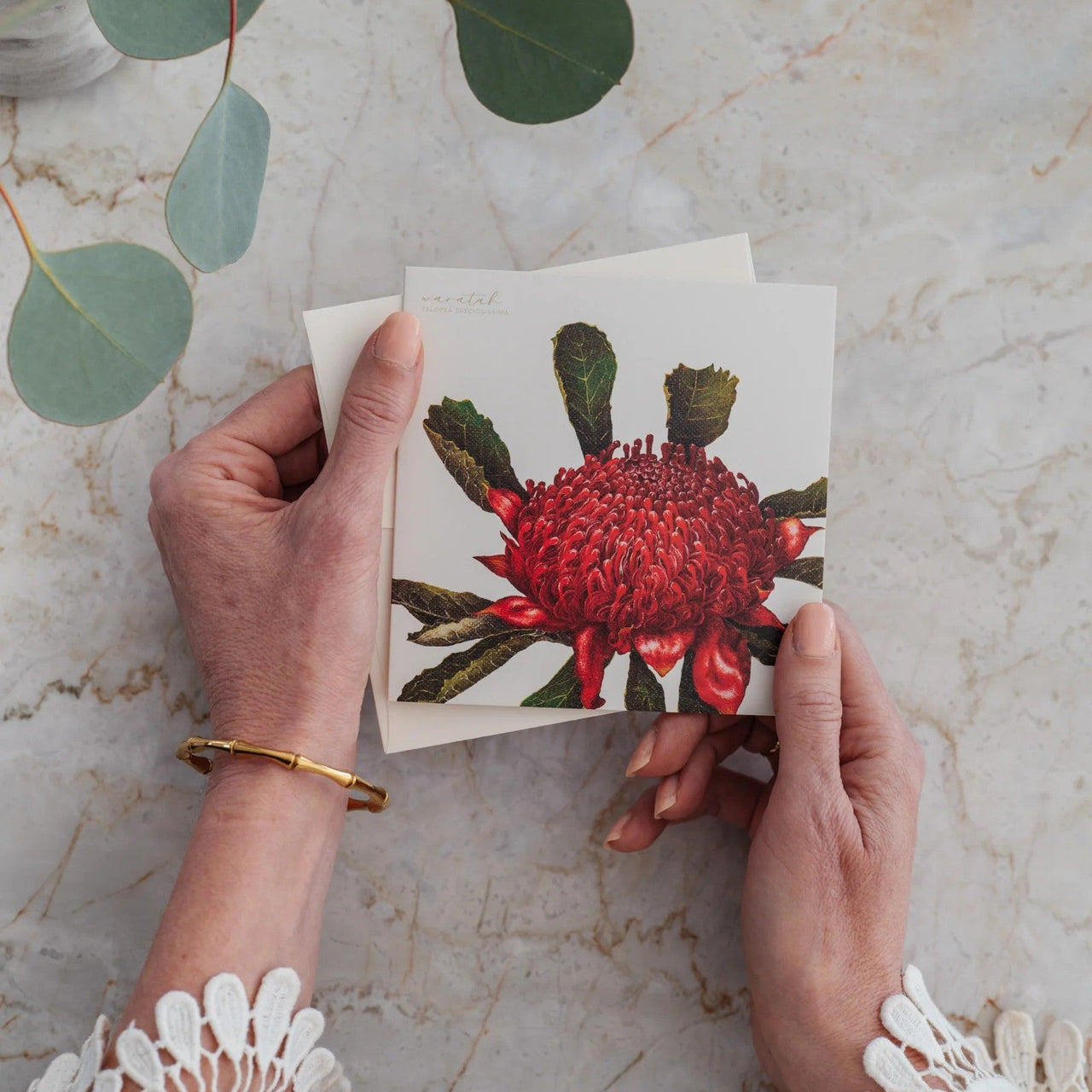 Bush Gems Greeting Card | Waratah by Bell Art. Australian Art Prints, Gifts, Fashion and Homewares. Green Door Decor. www.greendoordecor.com.au
