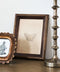 Butterfly Study | Wall Art by French Country Collections. Australian Art Prints, Gifts, Fashion and Homewares. Green Door Decor. www.greendoordecor.com.au
