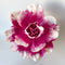 Paper Flowers - Bell Flower | Magnta Pink by Nibbanah. Australian Art Prints, Gifts, Fashion and Homewares. Green Door Decor. www.greendoordecor.com.au