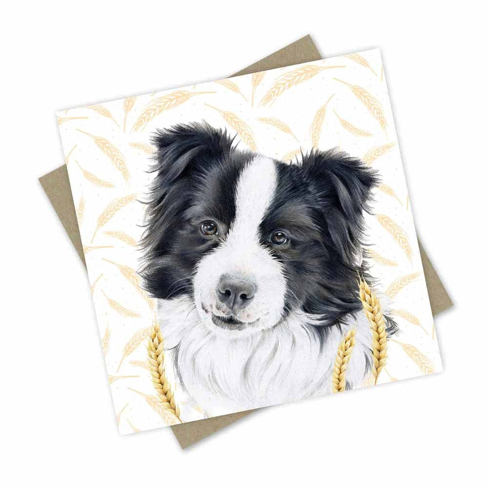 Greeting Card | Farm Friends - Border Collie by Popcorn Blue. Australian Art Prints, Gifts, Fashion and Homewares. Green Door Decor. www.greendoordecor.com.au