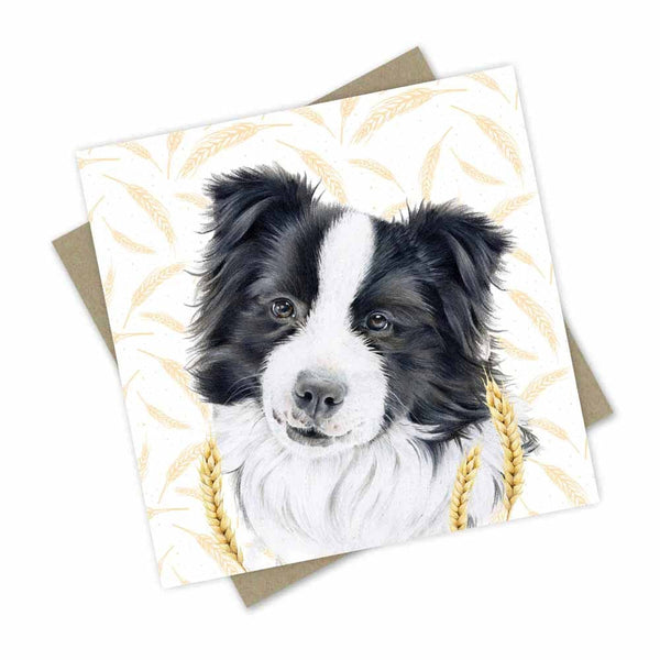 Greeting Card | Farm Friends - Border Collie by Popcorn Blue. Australian Art Prints, Gifts, Fashion and Homewares. Green Door Decor. www.greendoordecor.com.au