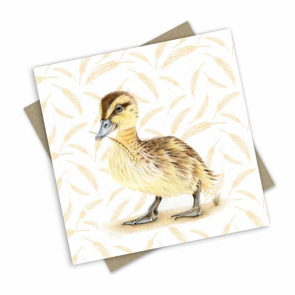 Greeting Card | Farm Friends - Duckling by Popcorn Blue. Australian Art Prints, Gifts, Fashion and Homewares. Green Door Decor. www.greendoordecor.com.au