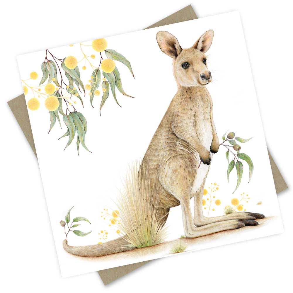 Greeting Card | Kadee the Kangaroo by Popcorn Blue. Australian Art Prints and Homewares. Green Door Decor. www.greendoordecor.com.au