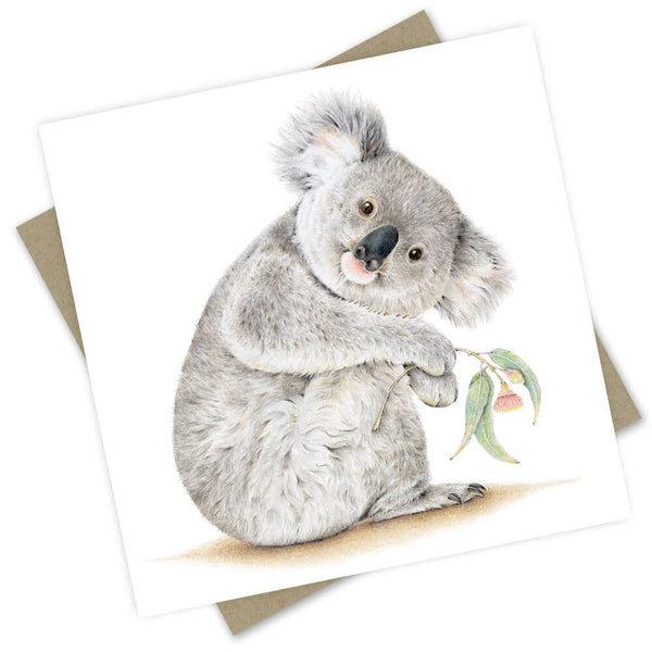 Greeting Card | Koala Barangaroo by Popcorn Blue. Australian Art Prints and Homewares. Green Door Decor. www.greendoordecor.com.au