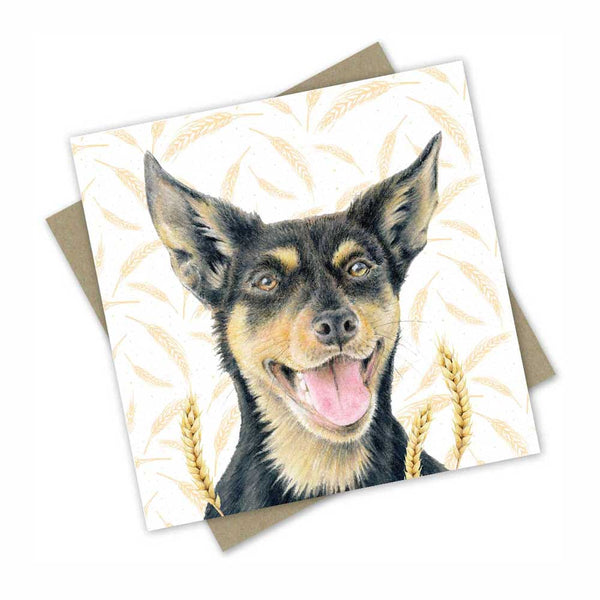 Greeting Card | Mrs Star the Kelpie Dog