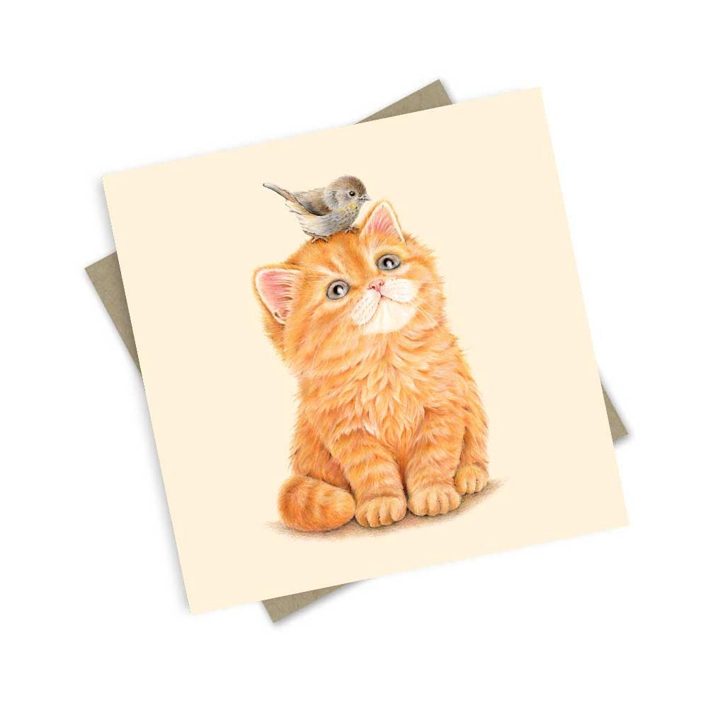 Greeting Card | Orange Floof Noodle Kitty by Popcorn Blue. Australian Art Prints, Gifts, Fashion and Homewares. Green Door Decor. www.greendoordecor.com.au
