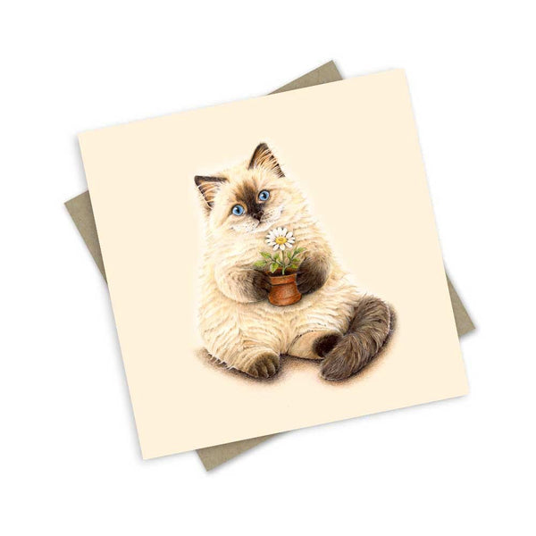 Greeting Card | Ragdoll Furry Purry Cream Puff by Popcorn Blue. Australian Art Prints, Gifts, Fashion and Homewares. Green Door Decor. www.greendoordecor.com.au