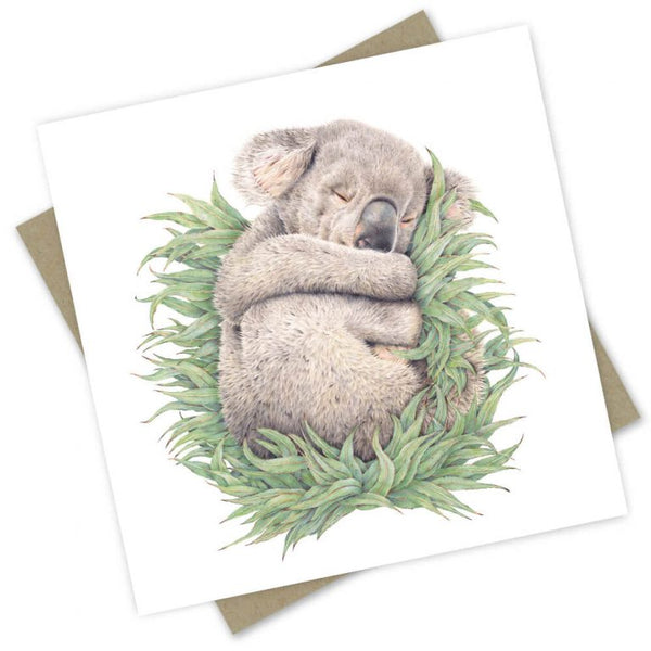 Greeting Card | Rengo the Rescue Koala by Popcorn Blue. Australian Art Prints and Homewares. Green Door Decor. www.greendoordecor.com.au