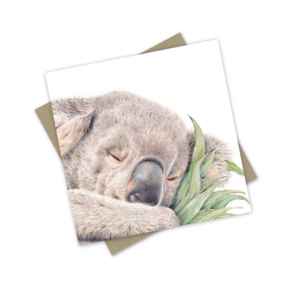 Greeting Card | Sleepy Rengo the Rescue Koala by Popcorn Blue. Australian Art Prints, Gifts, Fashion and Homewares. Green Door Decor. www.greendoordecor.com.au