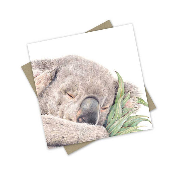 Greeting Card | Sleepy Rengo the Rescue Koala by Popcorn Blue. Australian Art Prints, Gifts, Fashion and Homewares. Green Door Decor. www.greendoordecor.com.au
