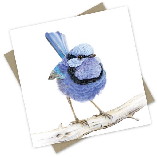 Greeting Card | Waru the Splendid Fairy-Wren by Popcorn Blue. Australian Art Prints and Homewares. Green Door Decor. www.greendoordecor.com.au