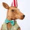 Carnival Kangaroo with Baton | Christmas Decoration (In Store Collection Only)