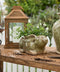 Celadon Rabbit Planter by French Country Collections. Australian Art Prints, Gifts, Fashion and Homewares. Green Door Decor. www.greendoordecor.com.au