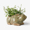 Celadon Rabbit Planter by French Country Collections. Australian Art Prints, Gifts, Fashion and Homewares. Green Door Decor. www.greendoordecor.com.au