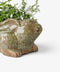 Celadon Rabbit Planter by French Country Collections. Australian Art Prints, Gifts, Fashion and Homewares. Green Door Decor. www.greendoordecor.com.au