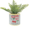 Cherry Taste Can Planter | Sage