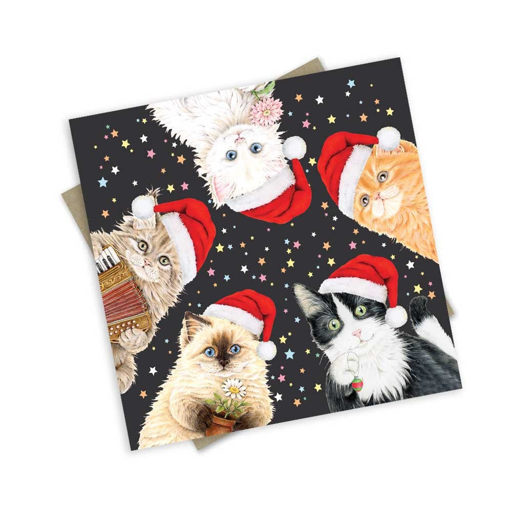 Christmas Greeting Card | Christmas Kitties by Popcorn Blue. Australian Art Prints, Gifts, Fashion and Homewares. Green Door Decor. www.greendoordecor.com.au