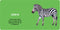 Chunky Board Book | Garry Fleming | Animals by Lake Press. Australian Art Prints, Gifts, Fashion and Homewares. Green Door Decor. www.greendoordecor.com.au