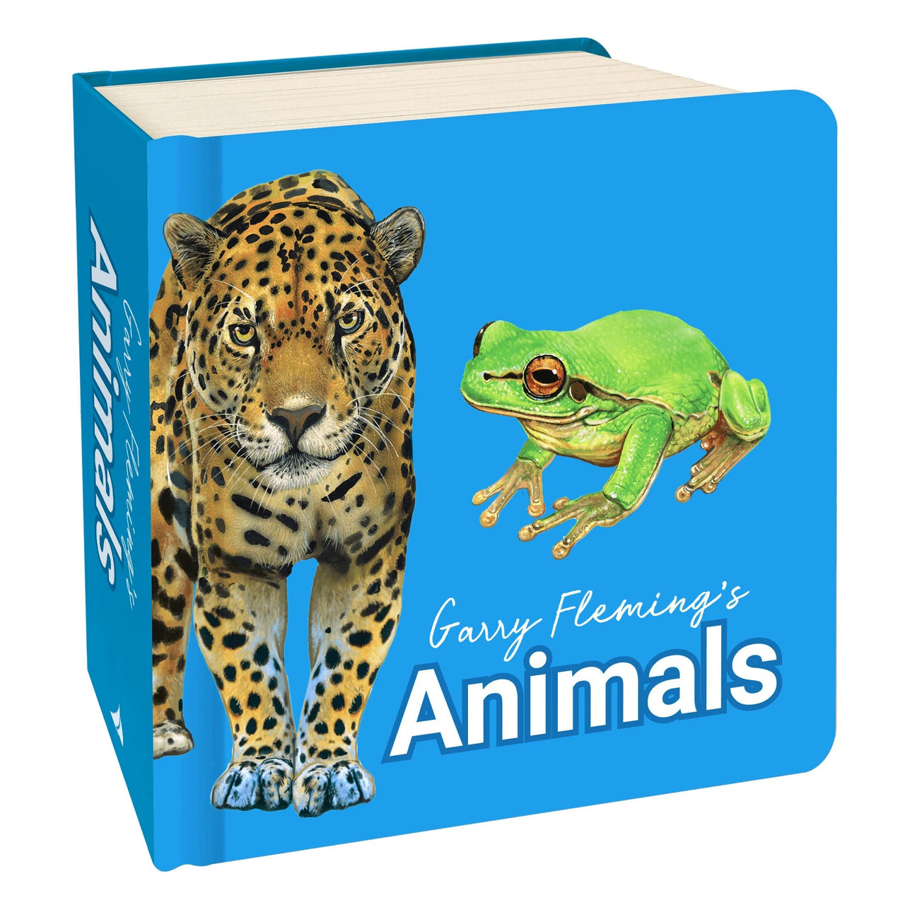 Chunky Board Book | Garry Fleming | Animals by Lake Press. Australian Art Prints, Gifts, Fashion and Homewares. Green Door Decor. www.greendoordecor.com.au