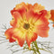Faux Flower | Cosmos Spray Orange 64cm by Florabelle. Australian Art Prints, Gifts, Fashion and Homewares. Green Door Decor. www.greendoordecor.com.au