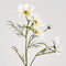 Faux Flower | Cosmos Spray White 64cm by Florabelle. Australian Art Prints, Gifts, Fashion and Homewares. Green Door Decor. www.greendoordecor.com.au