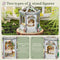 CuteBee | Windsor Flower House DIY Kit by Weekend Hub. Australian Art Prints, Gifts, Fashion and Homewares. Green Door Decor. www.greendoordecor.com.au
