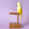 Pete Cromer | Resin Budgerigar #5. Australian Art Prints and Homewares. Green Door Decor. www.greendoordecor.com.au