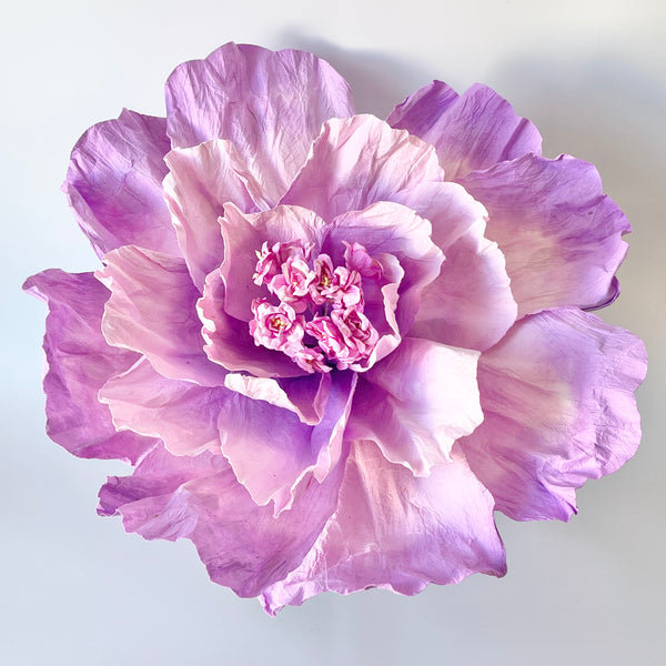Paper Flowers - XL Primrose Flower | Neon Purple by Nibbanah. Australian Art Prints, Gifts, Fashion and Homewares. Green Door Decor. www.greendoordecor.com.au
