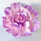 Paper Flowers - XL Primrose Flower | Neon Purple by Nibbanah. Australian Art Prints, Gifts, Fashion and Homewares. Green Door Decor. www.greendoordecor.com.au