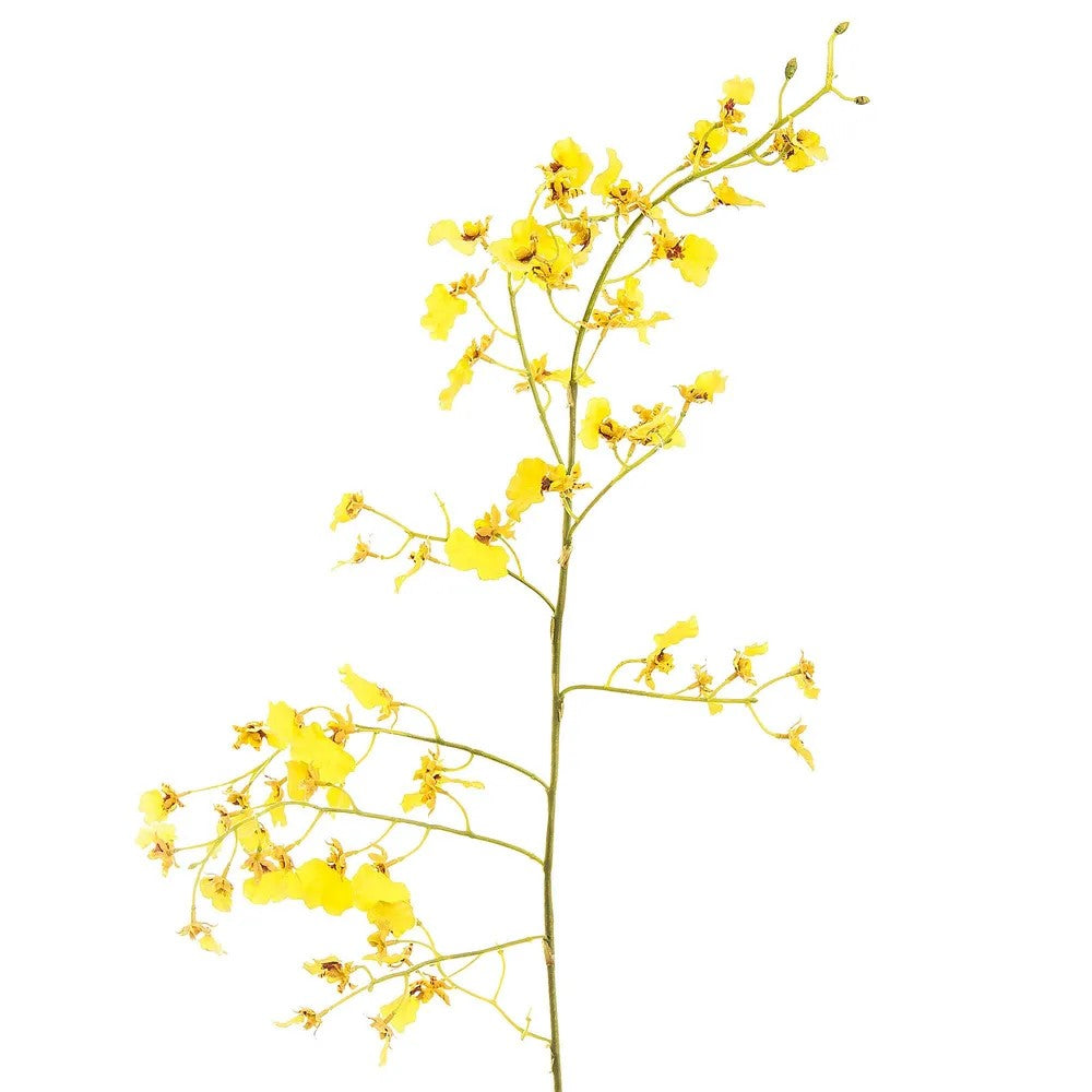 Faux Flower | Dancing Orchid 93cm Yellow.  Australian Art Prints and Homewares. Green Door Decor. www.greendoordecor.com.au