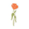 Designworks Ink | Bookmark | Poppy by Designworks Collective Australia. Australian Art Prints, Gifts, Fashion and Homewares. Green Door Decor. www.greendoordecor.com.au