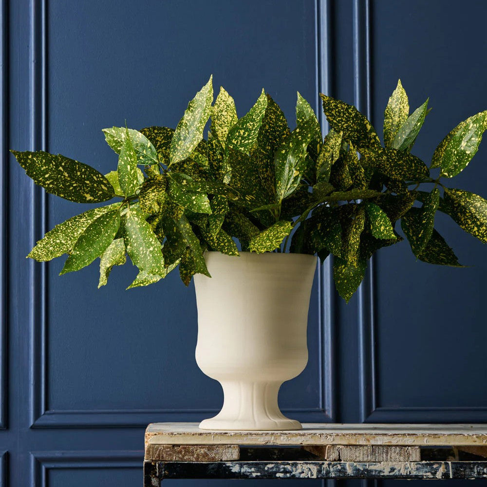 Devon Vase | Vintage White by Robert Gordon. Australian Art Prints and Homewares. Green Door Decor. www.greendoordecor.com.au