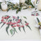 Eucalyptus Dining Placemats by Bell Art. Australian Art Prints and Homewares. Green Door Decor. www.greendoordecor.com.au