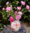 Dragonfly Vase | Pink & Orange by Noss & Co. Australian Art Prints, Gifts, Fashion and Homewares. Green Door Decor. www.greendoordecor.com.au