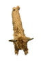 Draught Excluder / Door Stop | Highland Cow by Yellow Rock. Australian Art Prints, Gifts, Fashion and Homewares. Green Door Decor. www.greendoordecor.com.au