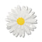 Cut-Leaf Daisy Simplified Mini Brooch | Erstwilder X Royal Botanic Gardens Victoria. Australian Art Prints, Gifts, Fashion and Homewares. Green Door Decor. www.greendoordecor.com.au