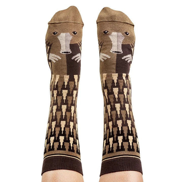 'Echidna' Socks by Wilson Payne. Australian Art Prints and Homewares. Green Door Decor. www.greendoordecor.com.au