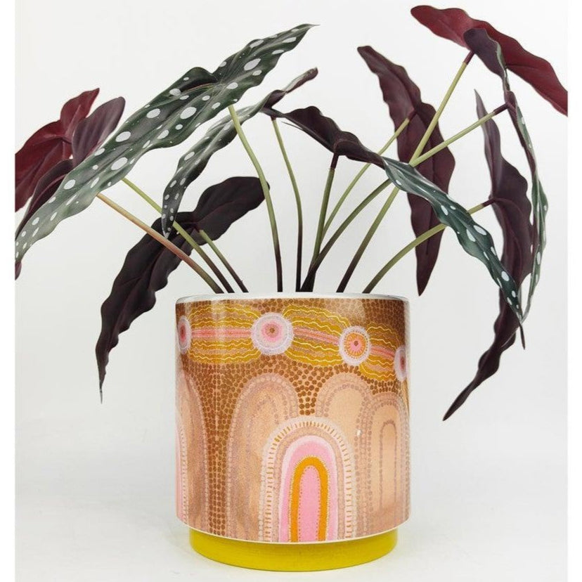 'Emma Stenhouse' Medium Planter | The Path Behind The Mountain